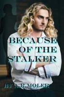 Because of the Stalker