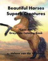 Beautiful Horses Superb Creatures