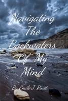 Navigating The Backwaters Of My Mind