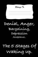 Denial, Anger, Bargaining, Depression, Acceptance.. The 5 Stages of Waking Up