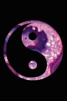 Yin and Yang Agate Purple