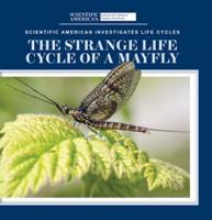 The Strange Life Cycle of a Mayfly