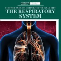 The Respiratory System