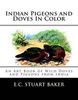 Indian Pigeons and Doves In Color