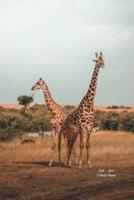 Pair of Reticulated Giraffes 15-Mo Planner Organizer 6"X9"