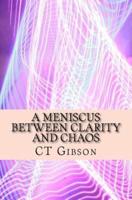 A Meniscus Between Clarity and Chaos