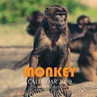 Monkey Calendar 2019