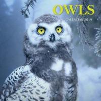 Owls Calendar 2019