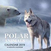 Polar Animals Calendar 2019