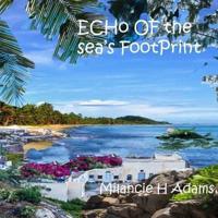 Echo of Sea's Footprint