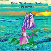 Echo OF Horse's Soul's FootPrint