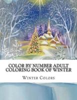 Color by Number Adult Coloring Book of Winter
