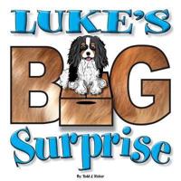 Luke's BIG Surprise
