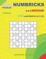 400 Numbricks Puzzles 9 X 9 Medium + Bonus 250 Labyrinth 25 X 25
