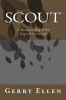 Scout