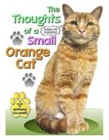 The Thoughts of a Small Orange Cat