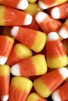 2019 Daily Planner Candy Corn Halloween Treats 384 Pages
