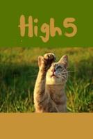 High 5