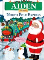 Aiden on the North Pole Express