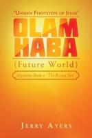 Olam Haba (Future World) Mysteries Book 4-"The Rising Sun"