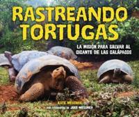 Rastreando Tortugas