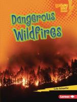 Dangerous Wildfires