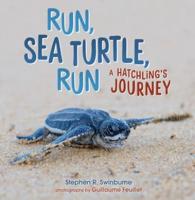 Run, Sea Turtle, Run
