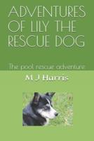 Adventures of Lily the Rescue Dog