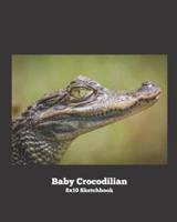 Baby Crocodilian 8X10 Sketchbook