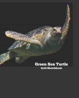 Green Sea Turtle 8X10 Sketchbook