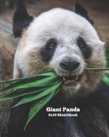 Giant Panda 8X10 Sketchbook