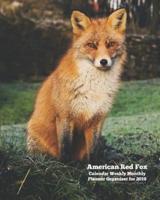 American Red Fox Calendar Weekly Monthly Planner Organizer for 2019