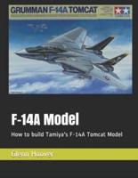 F-14A Model