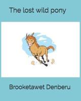 The Lost Wild Pony