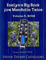 Evelyn's Big Book for Mandolins 2018, Vol. 3