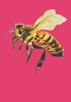 Honey Bee Journal