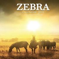 Zebra Calendar 2019