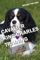 Cavalier King Charles Training