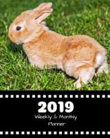 2019 Weekly and Monthly Planner