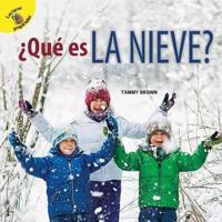 +Qué Es La Nieve?