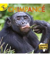 Chimpancé