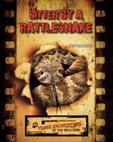 Bitten by a Rattlesnake