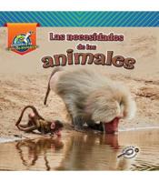 Las Necesidades De Los Animales