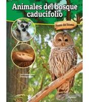 Animales Del Bosque Caducifolio