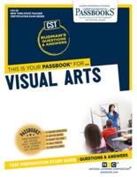 Visual Arts (CST-28)