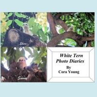White Tern Photo Diaries