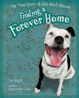 Finding a Forever Home