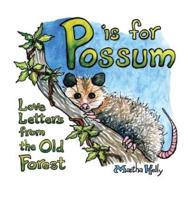 P Is for Possum