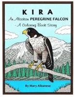 Kira, an Alaskan Peregrine Falcon