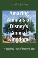 Amazing Animals of Disney's Animal Kingdom®: A Walking Tour of Disney's Zoo